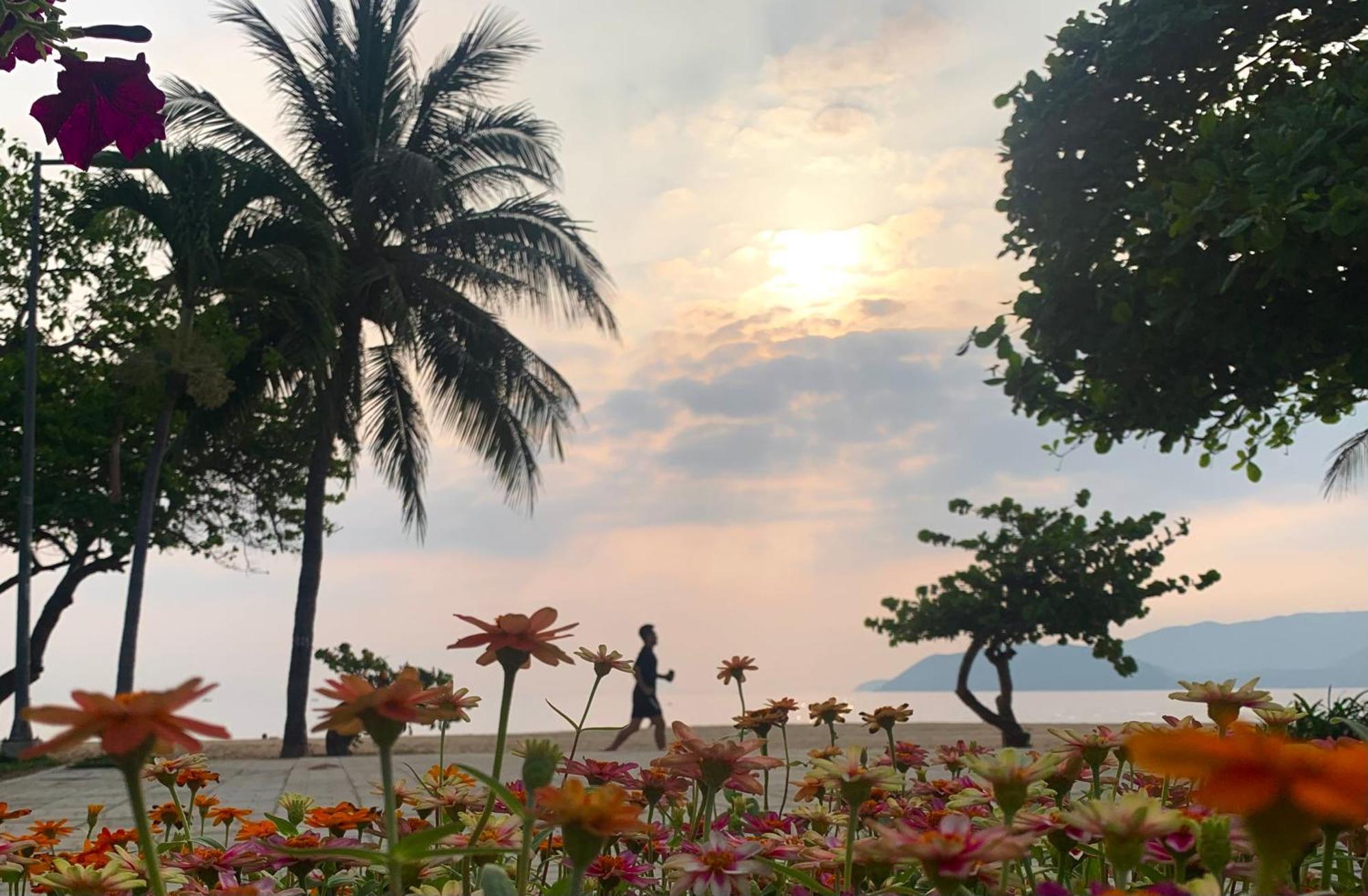 Saphia Hotel 芽庄 外观 照片